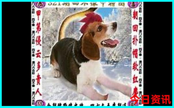 云南有什么地方好玩的